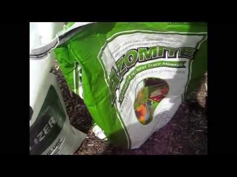 how to fertilize mushrooms