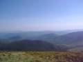 Tarnica