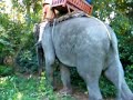 Cliff on Elephant Cliff on Elephant