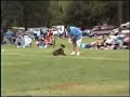 Our very first disc dog competition