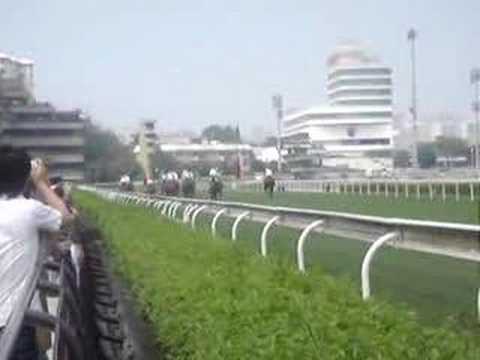 Sha Tin race track