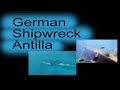 Sail Snorkel Swim and Swing.wmv