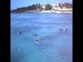 videos de Sail Snorkel Swim and Swing.wmv