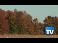 Autum in Northern Michigan Autum in Northern Michigan