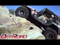 Ver Video