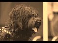 Mr Bo Jangles The Movie
