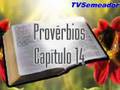 Provérbios - Cap. 14
