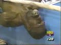 39 - Mike Tyson - Henry Tillman 39 - Mike Tyson - Henry Tillman