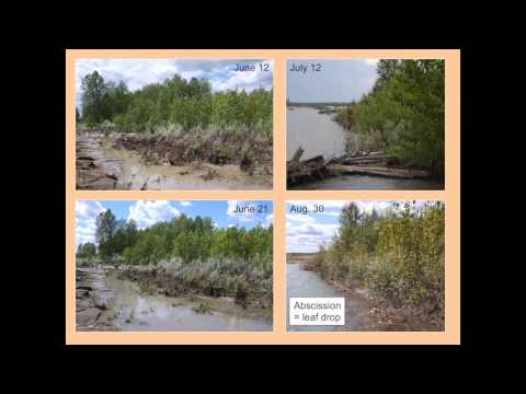 how to define flood zone