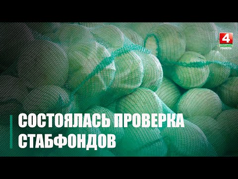 КГК и профсоюзы области проверили стабфонды в Калинковичском районе видео