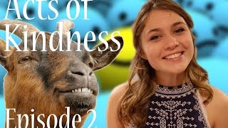 Goat Yoga is Being Used for Healing!