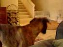 Prada giving big smoochies