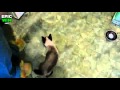 El gato araña