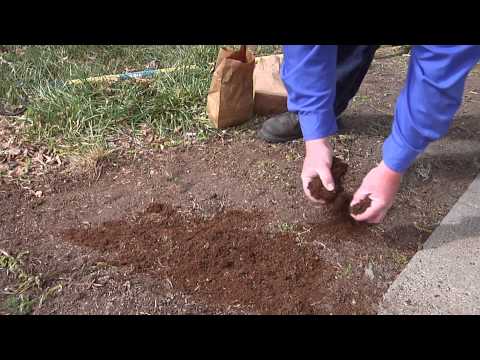 how to rebuild grass