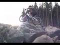 Bike trials, Dangerous Dave, Echo, Zoo