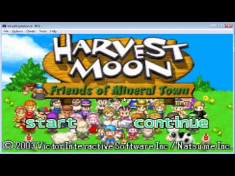 how to use cheats on vba harvest moon