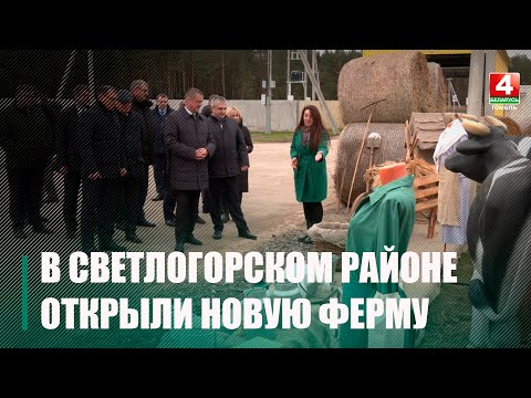 В Светлогорском районе открыли новый молочно-товарный комплекс видео