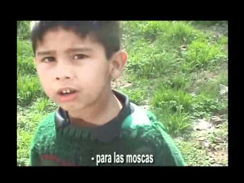 Imagen de previsualización de YouTube