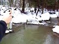 Fly fishing West Virgina Creek Chub Fly fishing West Virgina Creek Chub