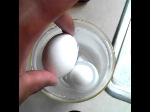 how to test if eggs are bad
