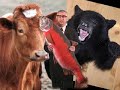 Empire Taxidermy Institute