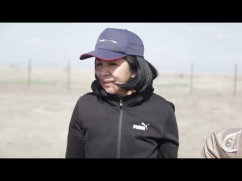 Эмбинцы приняли активное участие в озеленении территорий 