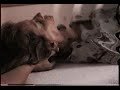 terapia-craneal-hacia-la-consciencia.html