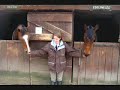 Les amours de Marion