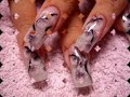 nailart step by step nailart step by step
