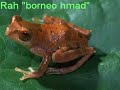 riwaayad-boon-xirsi-1.html