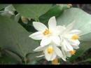 The Nature Conservancy - Texas PSA