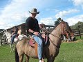 Alejo's Farm 09-01