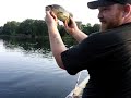 bass fishing potomac river