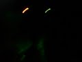 dj lion live @ burgas club alibi 11.04.08 jesse voorn feat. zoexenia - seeme (dj lion remix)