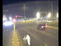 Fooling around Al-Waab Traffic Signal - Doha Qatar