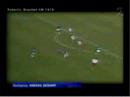 Funny sports fights and more...