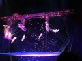 Cirque du soleil zaia at Macau - 3