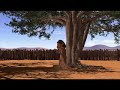 vida maria - viacg.com