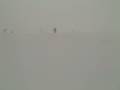 videos de VID00014