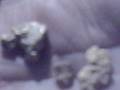 videos de nuggets.AVI