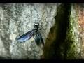 Micromundos Colombia