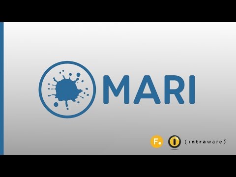 Mari - Introduction, Overview & Demo
