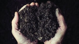 Quick Start Gardening Guide: The Basics of Great Garden Soil