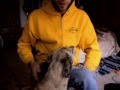 ARCHMAN & JOE Monkey Fingers - My Dog & Best Friend