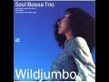 Soul Bossa Trio - You Can Fly Soul Bossa Trio - You Can Fly