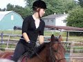 Standardbred Cantering