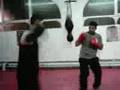 faisal vs Spenna