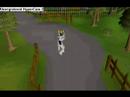yes i know its early lol its just im going away over christmas and wanted to wish you all a merry xmas before i leave =]

song: merry christmas everyone - shaking stevens

i am not in any relations with any of the creators of content in this video. this video is for entertainment purposes only.