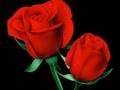 Ba���la   Aziz Nesin