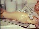 Garlic Is As Good As Ten Mothers (1980)